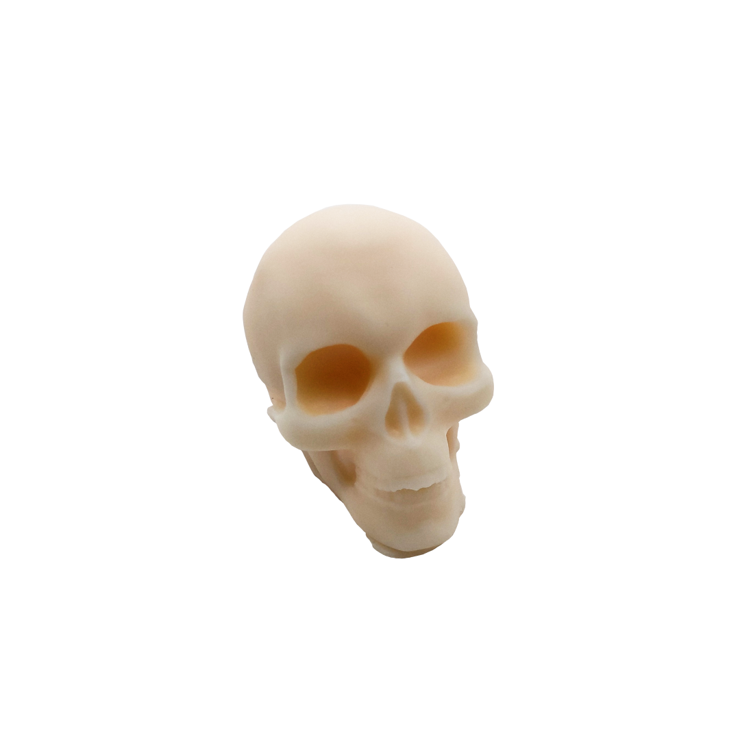 Pomegranate Cider Skull Wax Melts