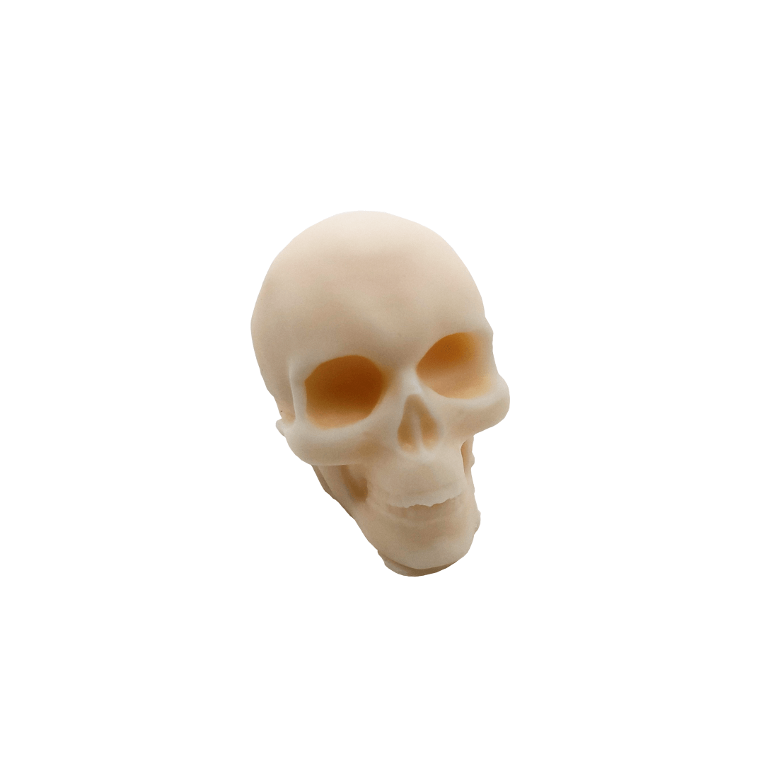 Fall Waxmelts Skull